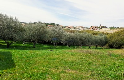 Zwei Baugrundstücke in Vižinada