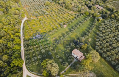 Einzigartiges Anwesen in der Nähe von Poreč - 17000 m² Bauland mit Steinhaus und Olivenhain!