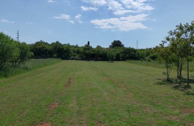 Istrien, landwirtschaftliches Land nahe dem Zentrum von Rovinj