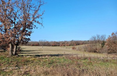 Baugrundstück 1100 m2 zu verkaufen, Marčana