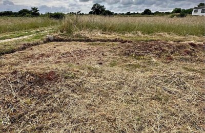 Verkauf von landwirtschaftlichen Flächen, Šišan