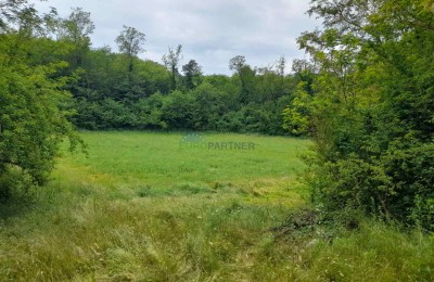 Istrien, Poreč, Baderna, landwirtschaftliches Grundstück