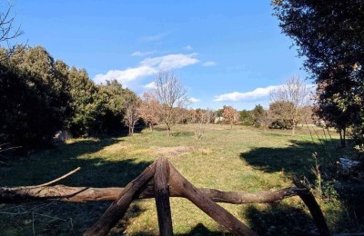 Zum Verkauf steht ein landwirtschaftliches Grundstück mit einer Fläche von 3143 m2 in Šišan