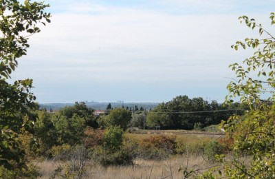 Ackerland zum Verkauf, Galižana