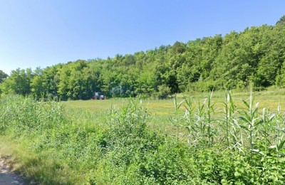 Grundstück Motovun