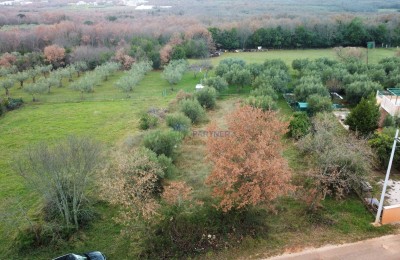 Baugrundstück mit Blick auf Olivenhaine, 8km von Poreč