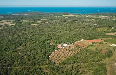 Landwirtschaftliches Grundstück in sehr attraktiver Lage in der Nähe von Rovinj