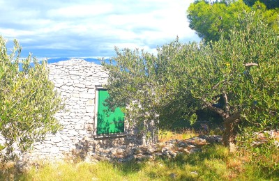 Grundstück mit Olivenhain und Meerblick, 20.000 m2