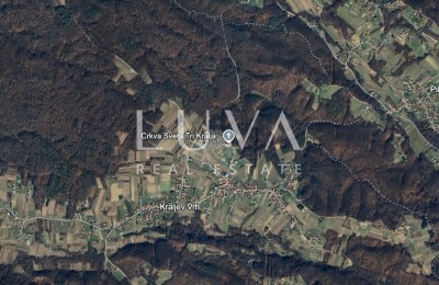 Jakovlje, Kraljev Vrh, Wald 31448 m2 zu verkaufen
