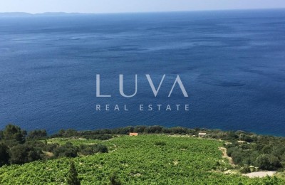 Pelješac, Potomje, 50.000 m² Grundstück mit Weinberg zu verkaufen