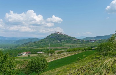 Grundstück Motovun