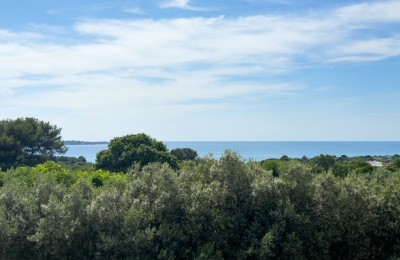 Wohnung zum Verkauf mit Meerblick, Peroj!