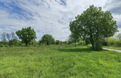 Ausgezeichnetes Bauland für Investitionen.