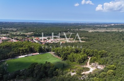 Višnjan, Baugrundstück mit Baugenehmigung, 1.277 m²