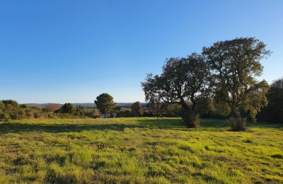 Verkauf von landwirtschaftlichen Flächen, Pula, Montešerpo