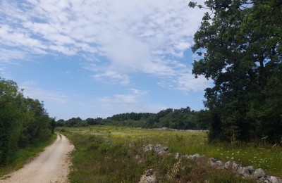 Istrien, Rovinj, landwirtschaftliche Flächen