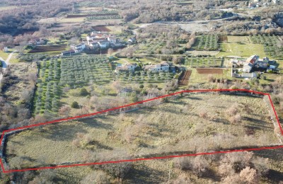 Wunderschönes Grundstück, 5892m2 Bauland + 3562m2 landwirtschaftliches Grundstück, 10km von Poreč.