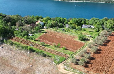 Istrien, Rovinj, landwirtschaftliche Flächen am Meer