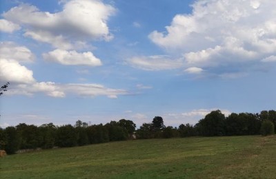 Verkauf von Baugrundstücken, Loborika