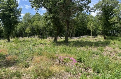 Attraktives Baugrundstück zum Verkauf, Sveti Lovreč