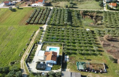Istrien, Višnjan, Villa mit einem schönen Garten